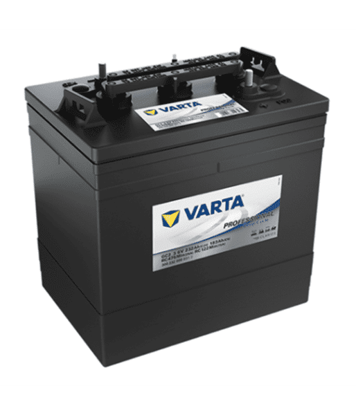 Picture of Varta 6 Volt Deep Cycle Battery