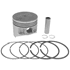 Picture of Piston and ring assembly .50 mmOS, Picture 1